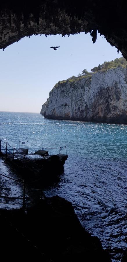 Affittasi Casa Vacanza A Casa Di Emma Леверано Екстериор снимка